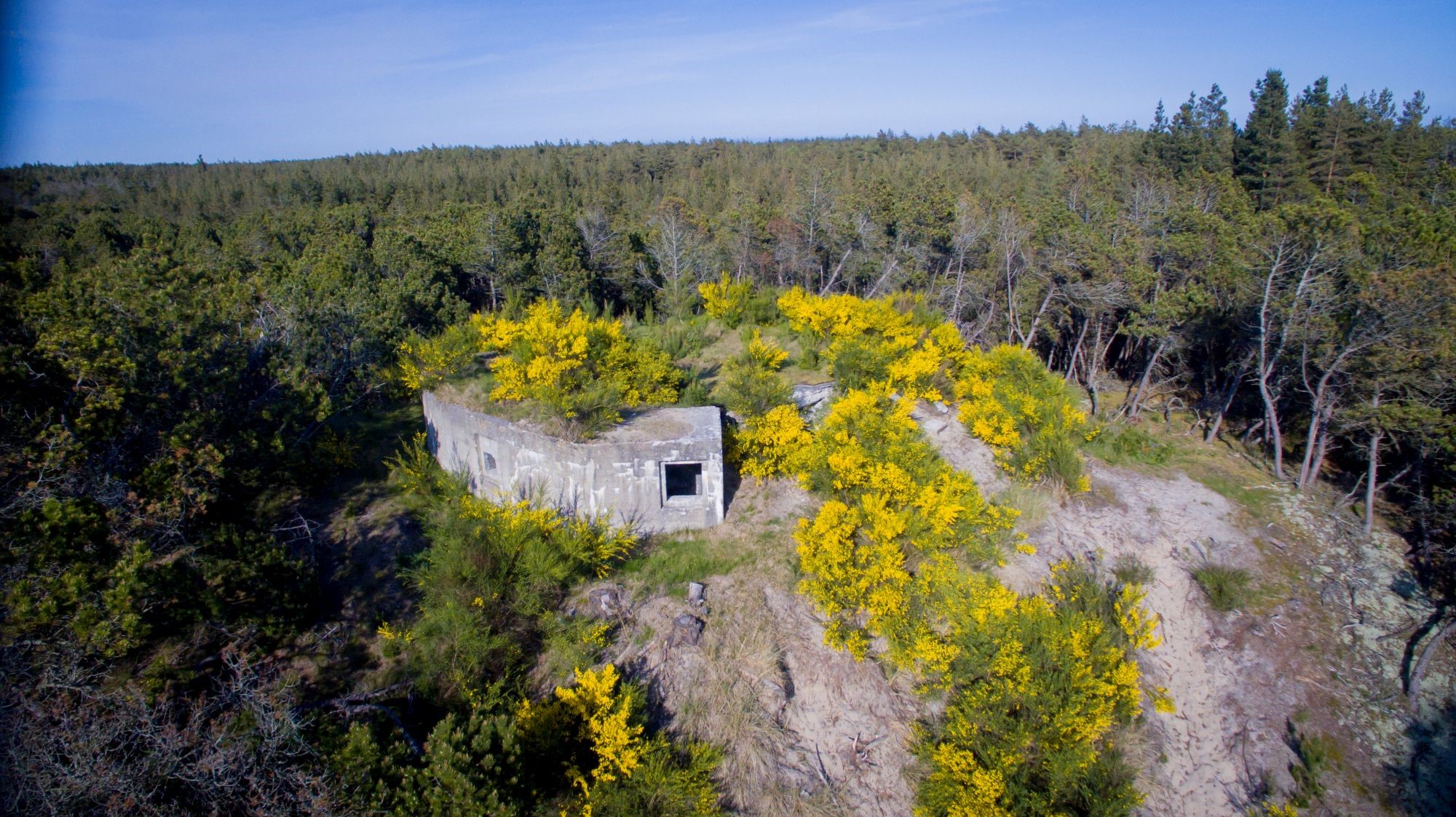 DJI_0003 - Bunken Plantage, bunker, dronefoto.jpg