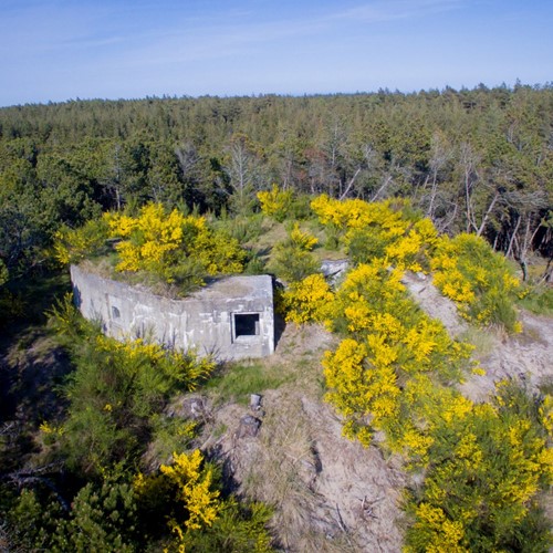 DJI_0003 - Bunken Plantage, bunker, dronefoto.jpg